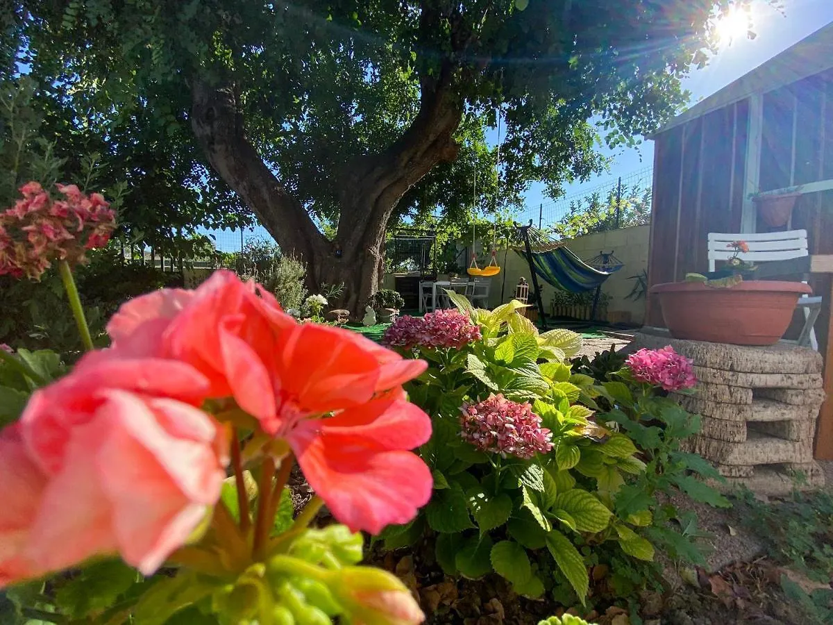 La Casa Del Carrubo Villa Cagliari